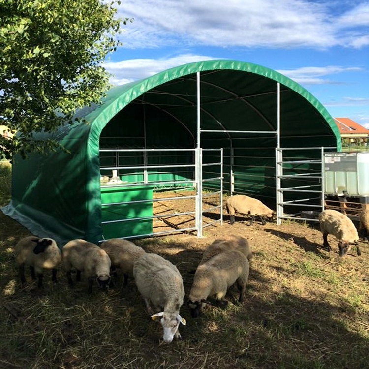 10m Prefabricated Steel Cowshed - Image 6